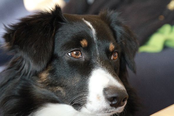 Amy Lejuba (die Liebe)