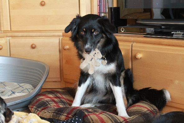 Aylin mit dem kleinen Bären