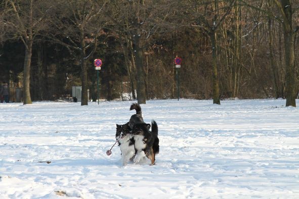 Amy und Aylin bringen gemeinsam den Ball