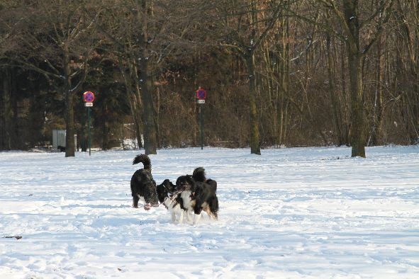 Da haben wir was gefunden