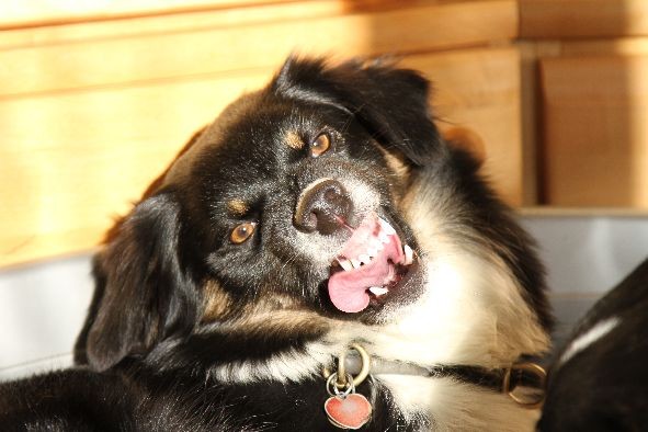 Aylin mag das gar nicht ;-)