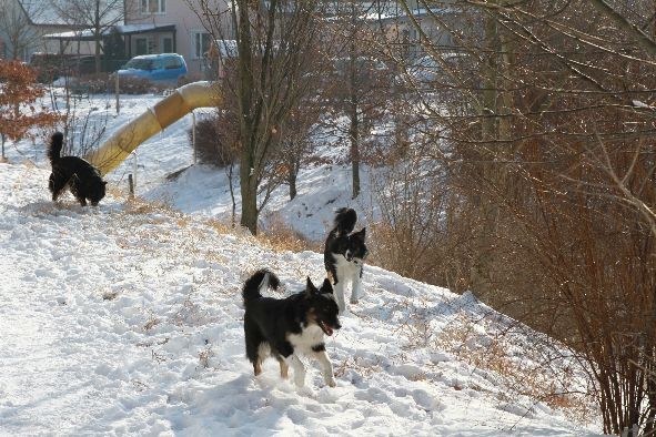 Schnee ist super