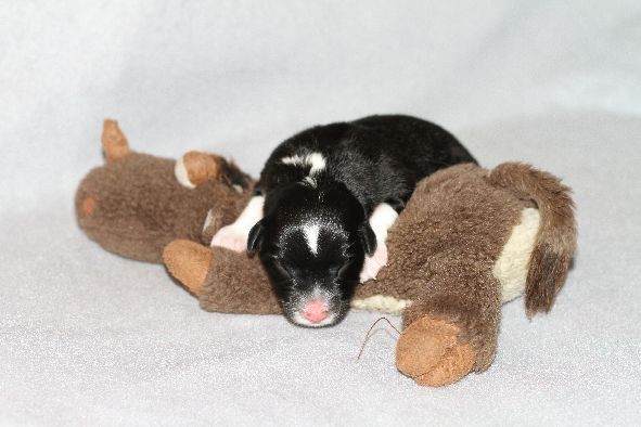 Aylin am Tag der Geburt mit 380 g