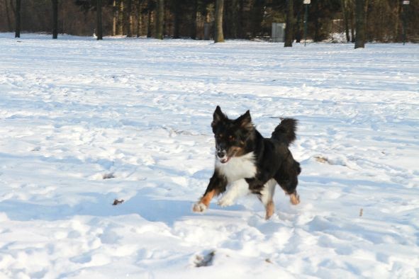 Cyra findet Schnee super
