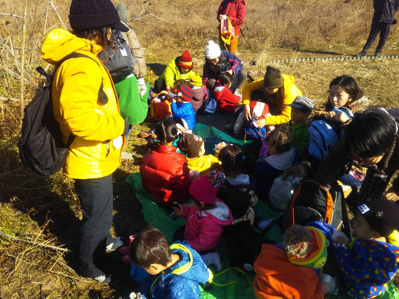 クワノミ畑の誕生