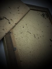 Rahmung+auffrischen+einrahmen