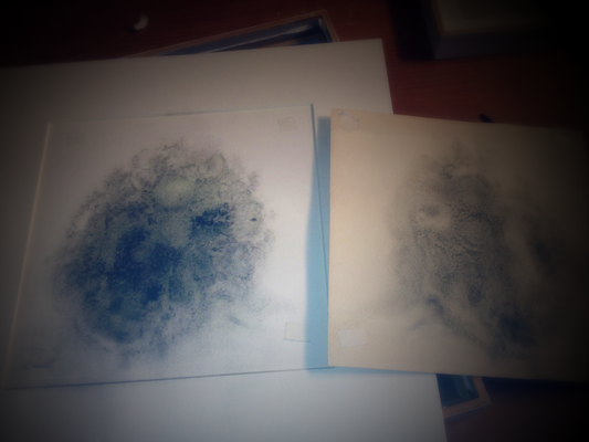 Pilzschaden durch Feuchtigkeit