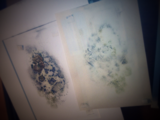 Feuchtigkeit in der Einrahmung