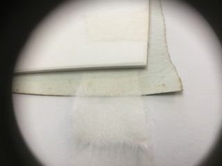 Atelier Guatelli; Weil Qualität sich lohnt