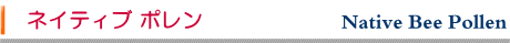 シンプル素材アイテム ～ 蜜蜂花粉