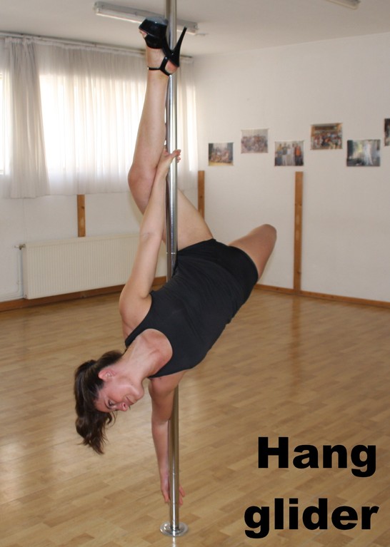 Hanglider / Hayley's gemini