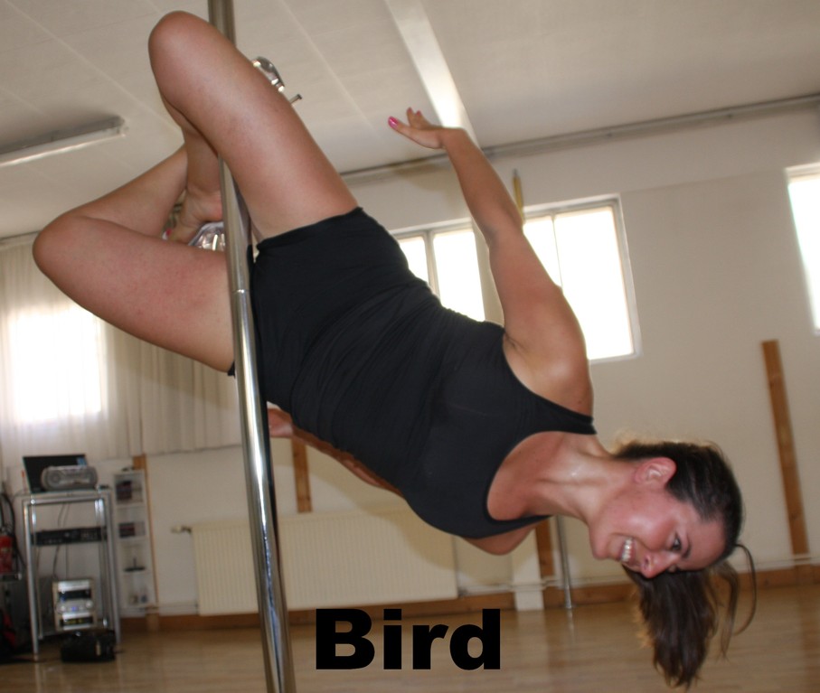 Bird / open marley variation / goddess