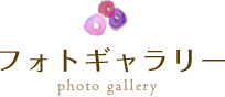 フォトギャラリー