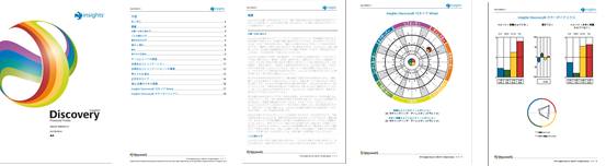 Insights® Discovery パーソナル・プロファイルのイメージ画像