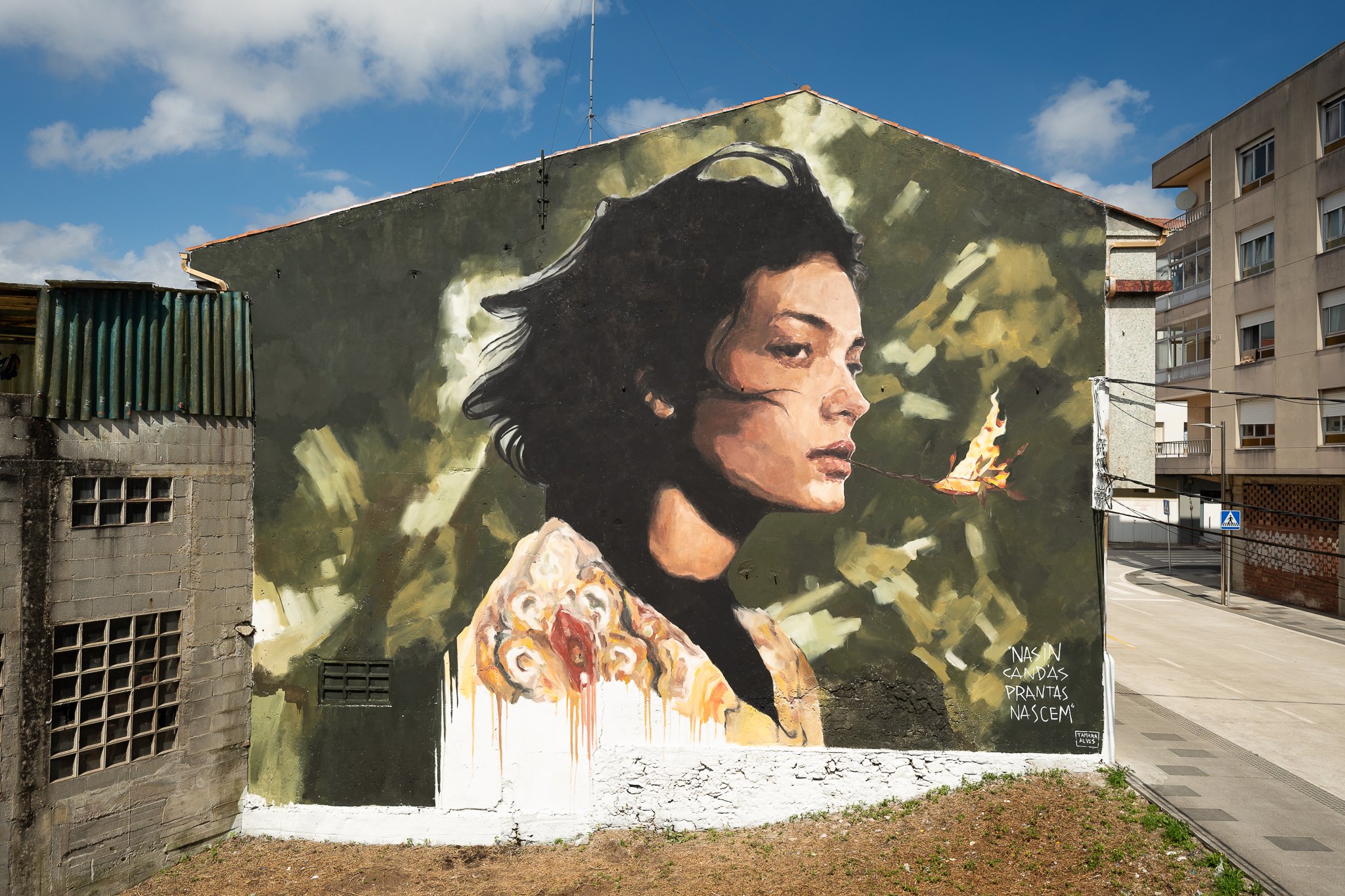 "Nascim cando as prantas nascem", por Tamara Alves