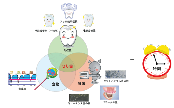 虫歯のリスクは時間によって左右されます