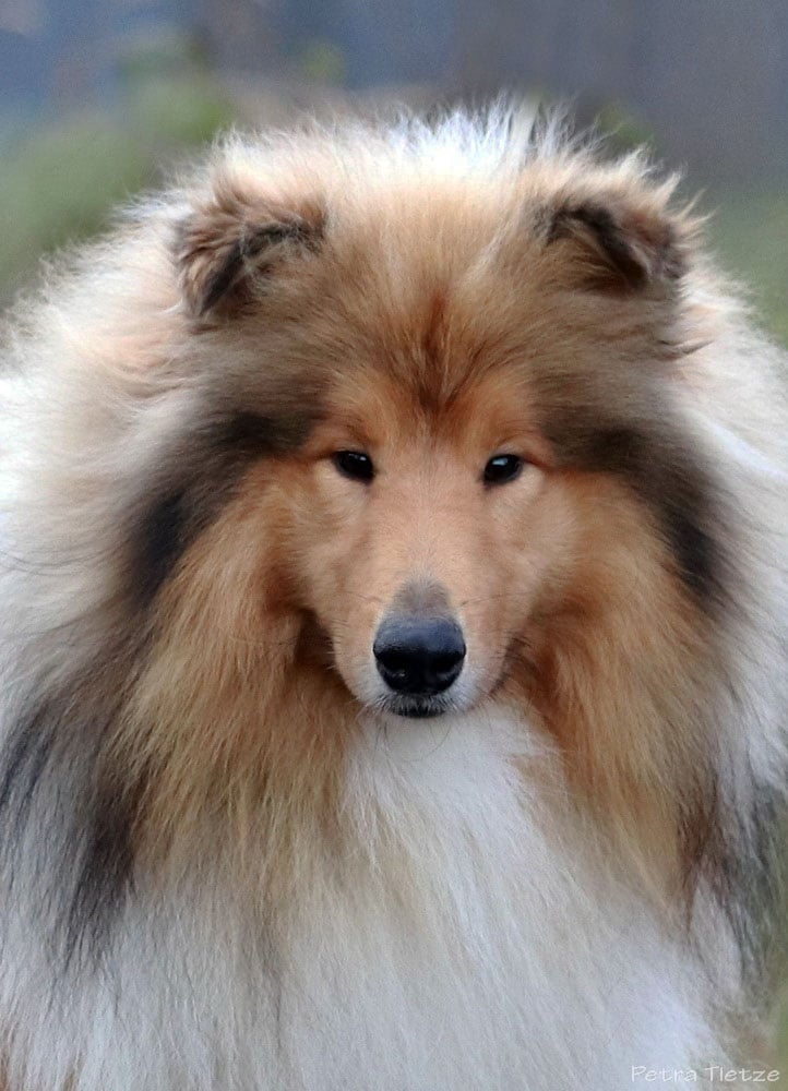 Alle Fotos von Petra Tietze