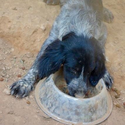 Foto: ©Esther Hufschmid