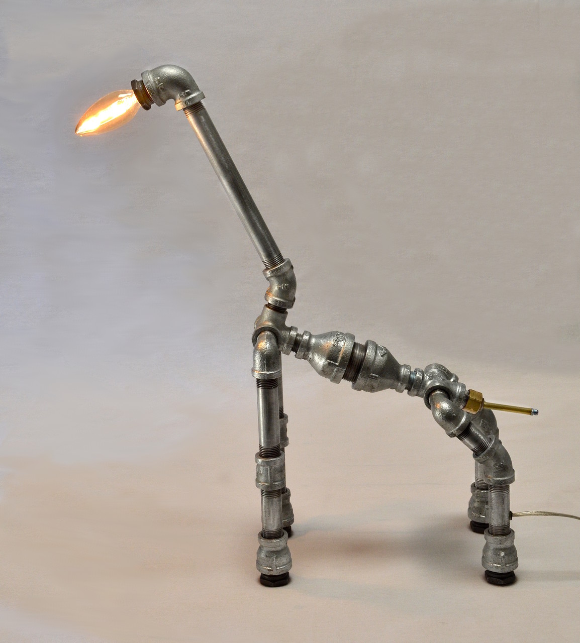 Standing very tall at almost 21 inches, Giro exudes poised and placid elegance.