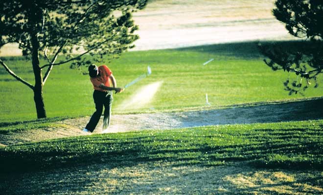 Golfen in der Region Bad Bevensen vom Hotel Waldesruh