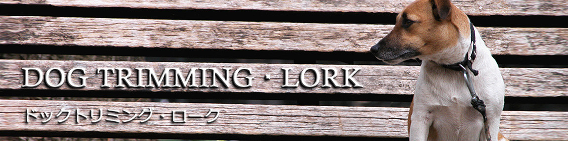 ドッグトリミングローク