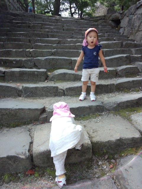 階段も自分で登れるよ