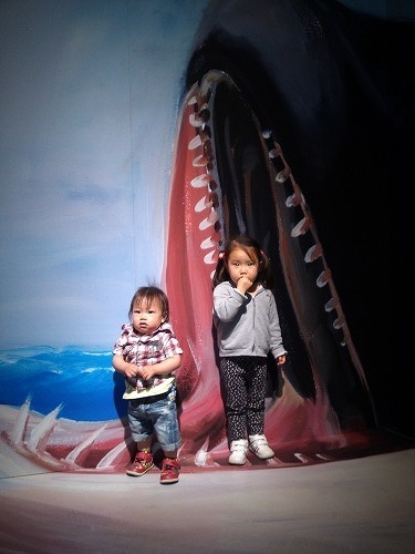 お口の中にはいっちゃた！