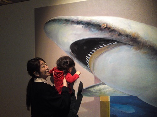 さめこわ～い・・・