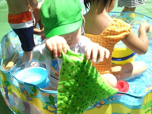 お洗濯上手でしょう