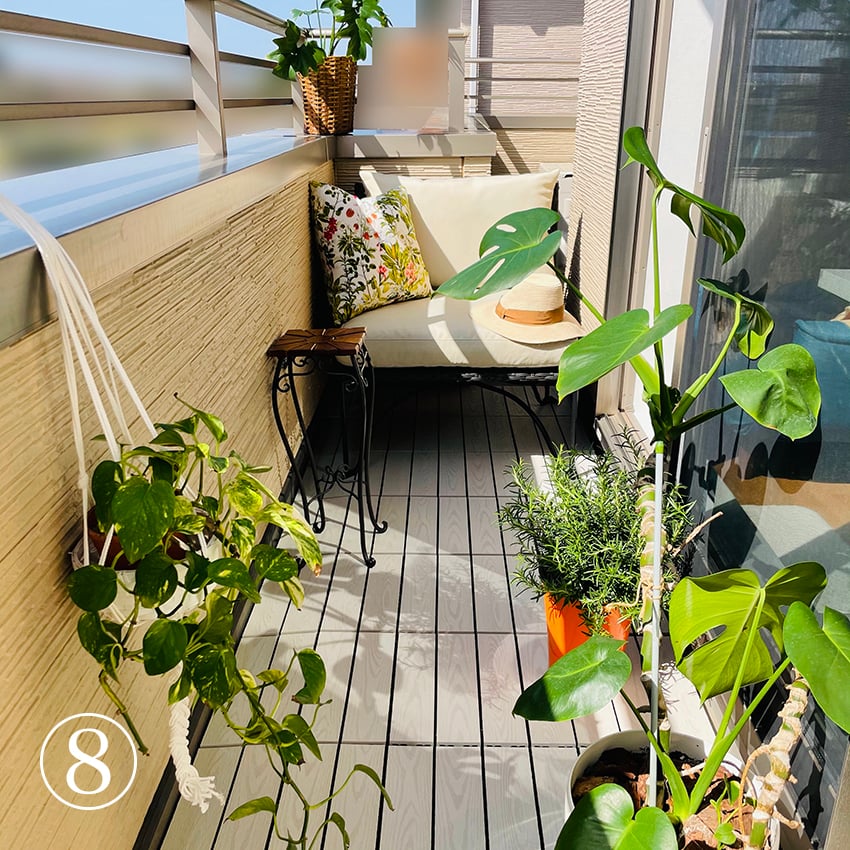 配置。リビングに置いてあった植物達も持ってきました。