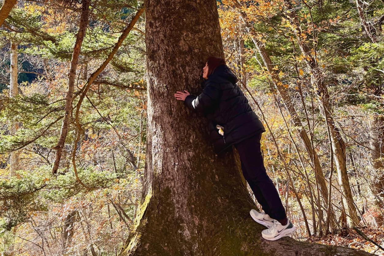 【Report】”自然と共にある暮らし”に五感で触れる《上野村》