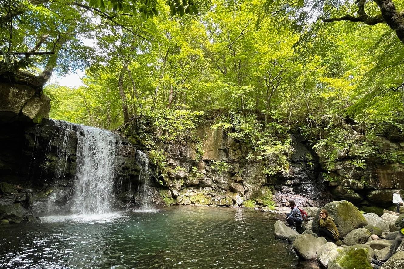 【お知らせ】5/16- or 5/17-18よる森Nomadic @芽吹の阿蘇・南小国 #3