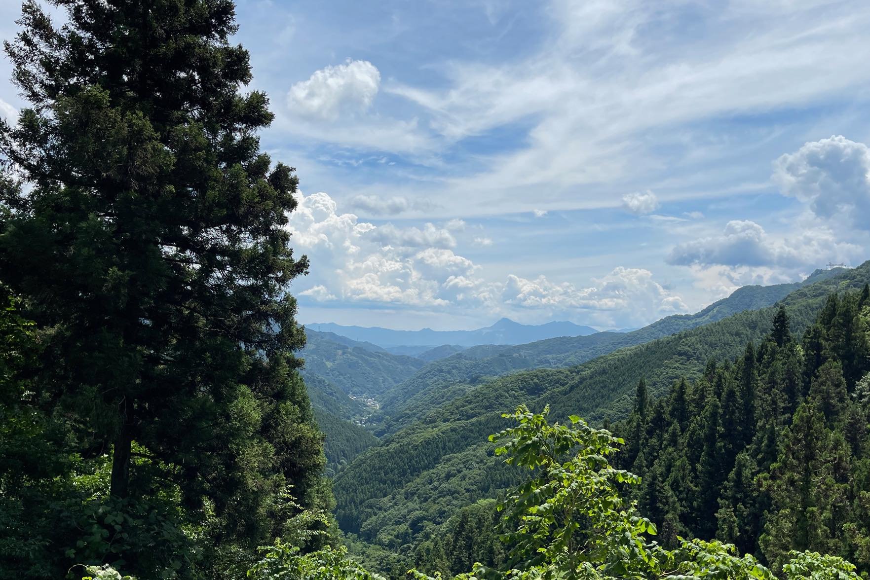 【お知らせ】よる森Nomadic＠上野村（群馬県）11/30(土)-12/1(日)