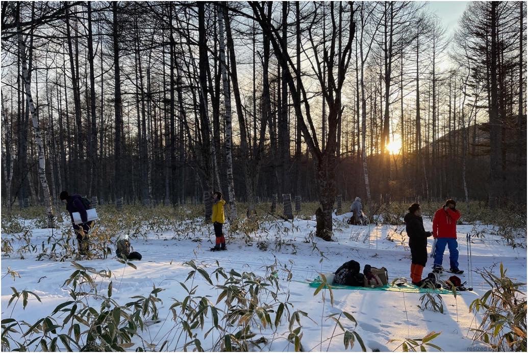 雪のよる森（夕暮れ）