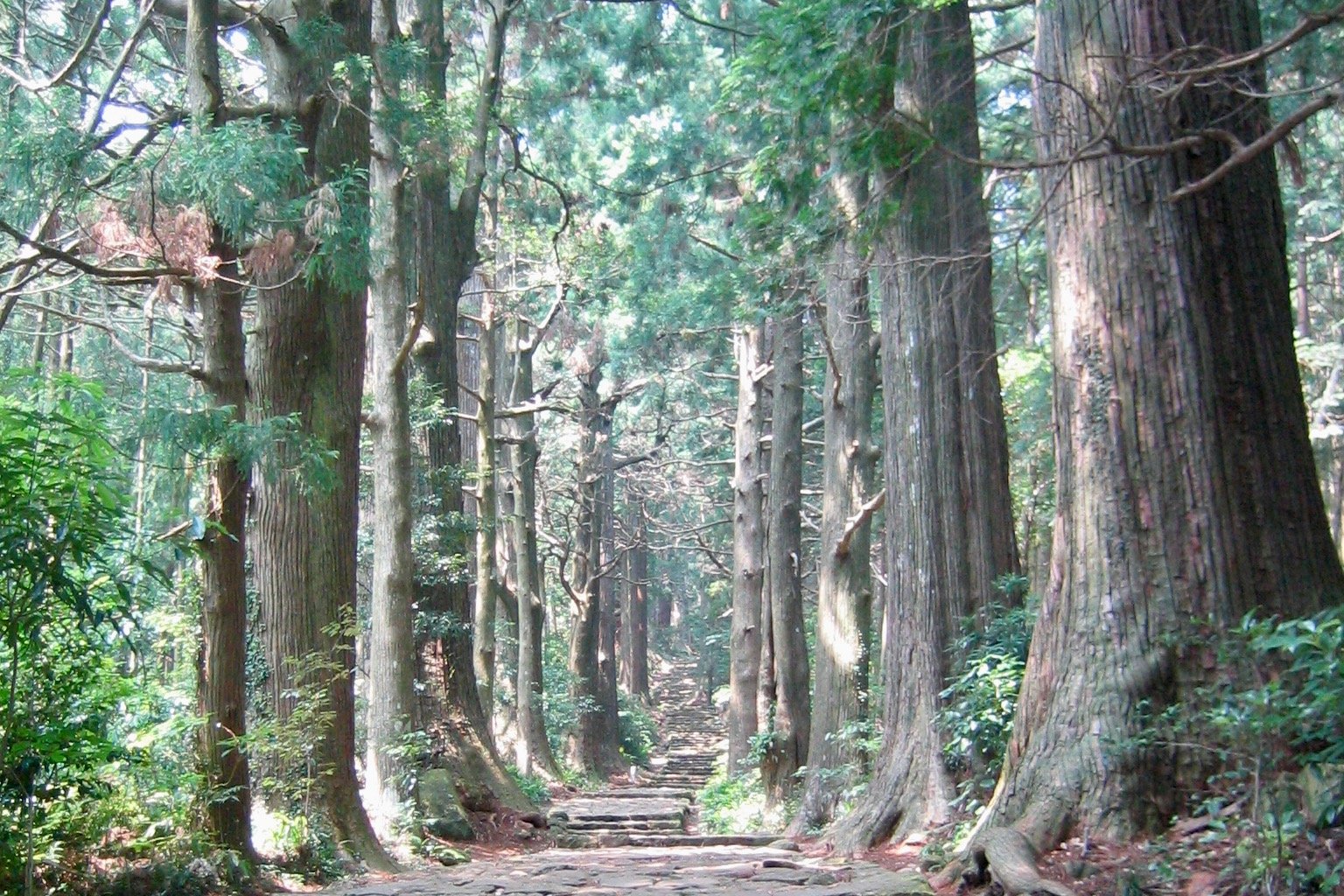 【満員御礼】12/13(金) or 14(土)-15(日) よる森Nomadic @熊野古道