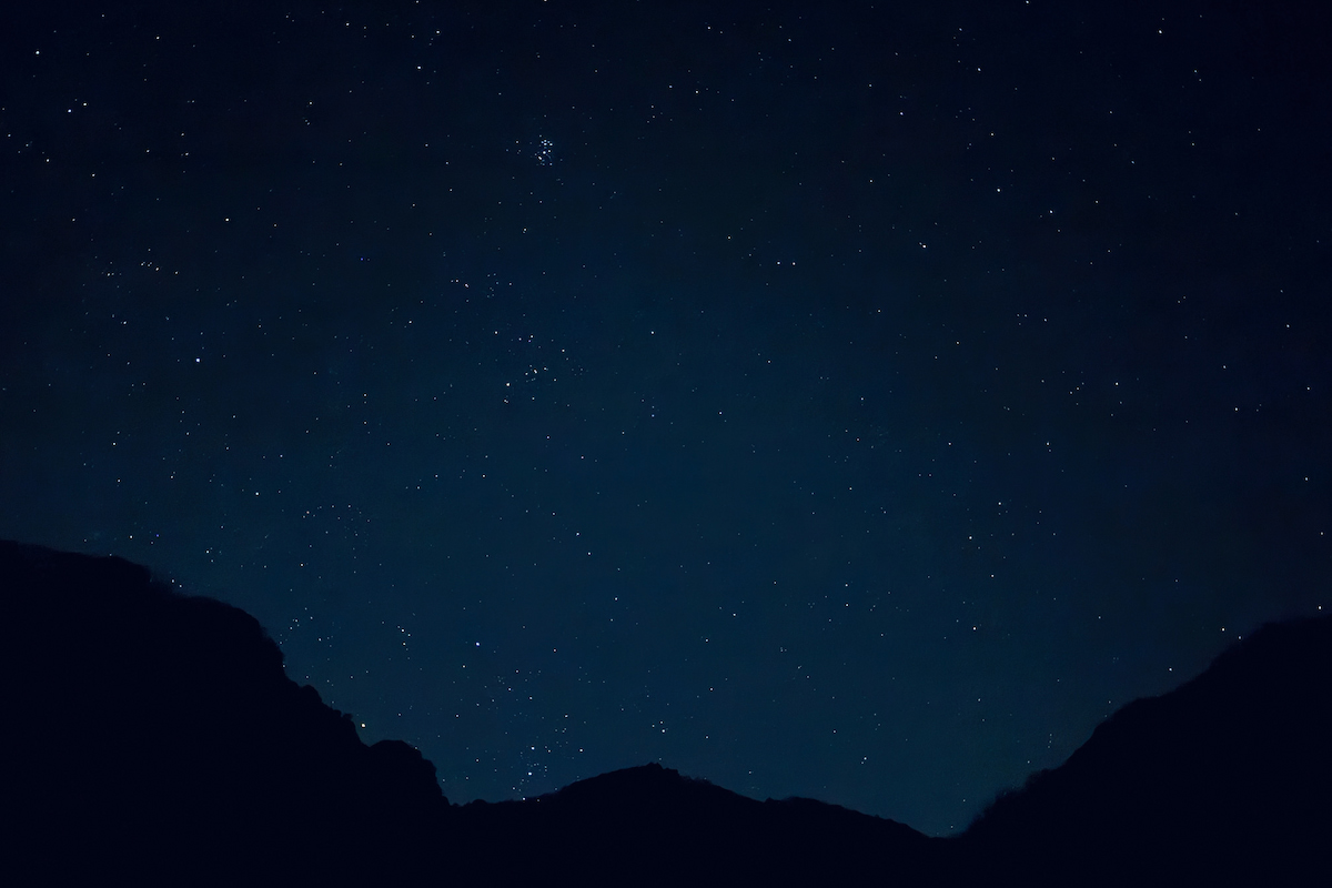 【森のR&D（11）】森・自然との対話｜暗闇で見えるもの