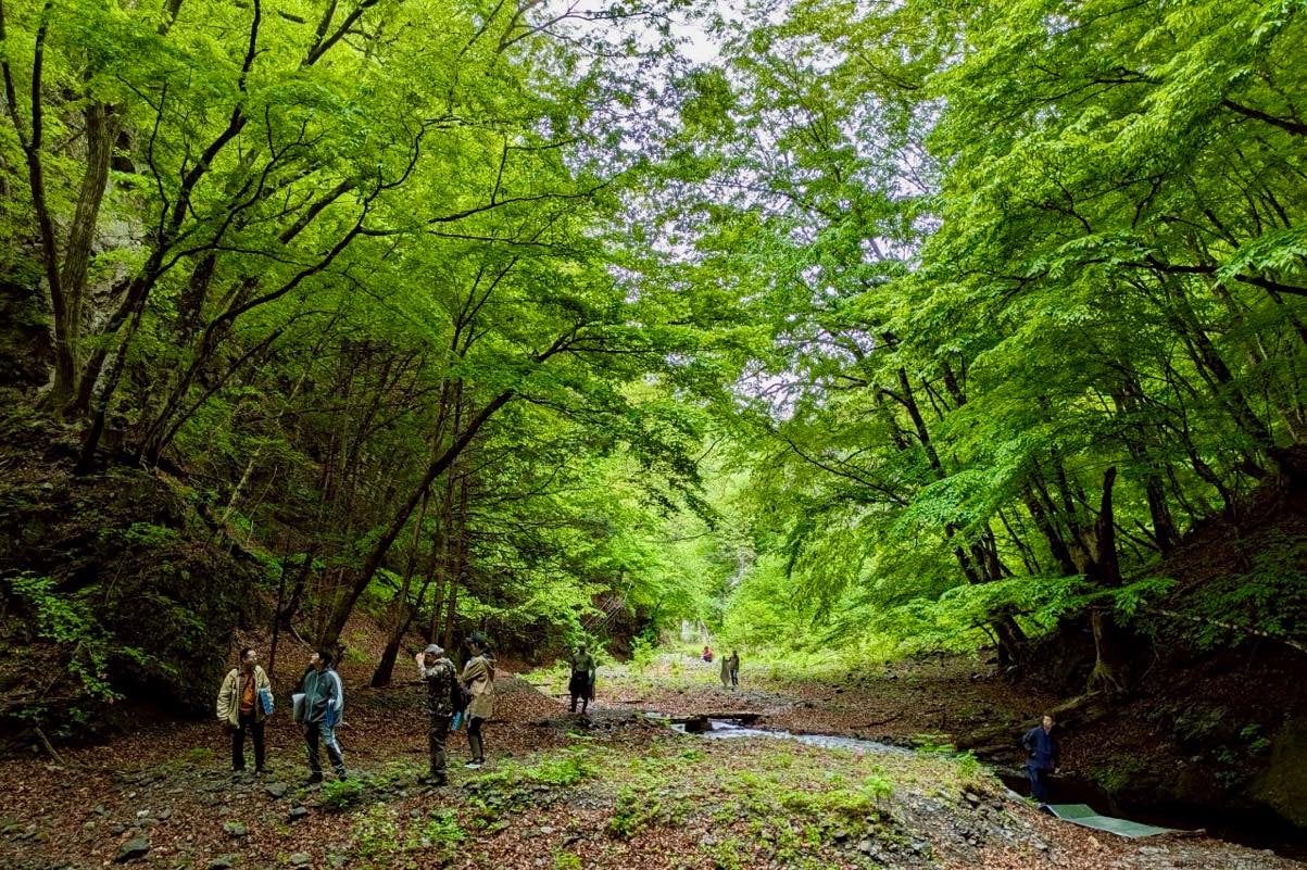 【Report】｢イメージ｣と｢素｣《上野村》