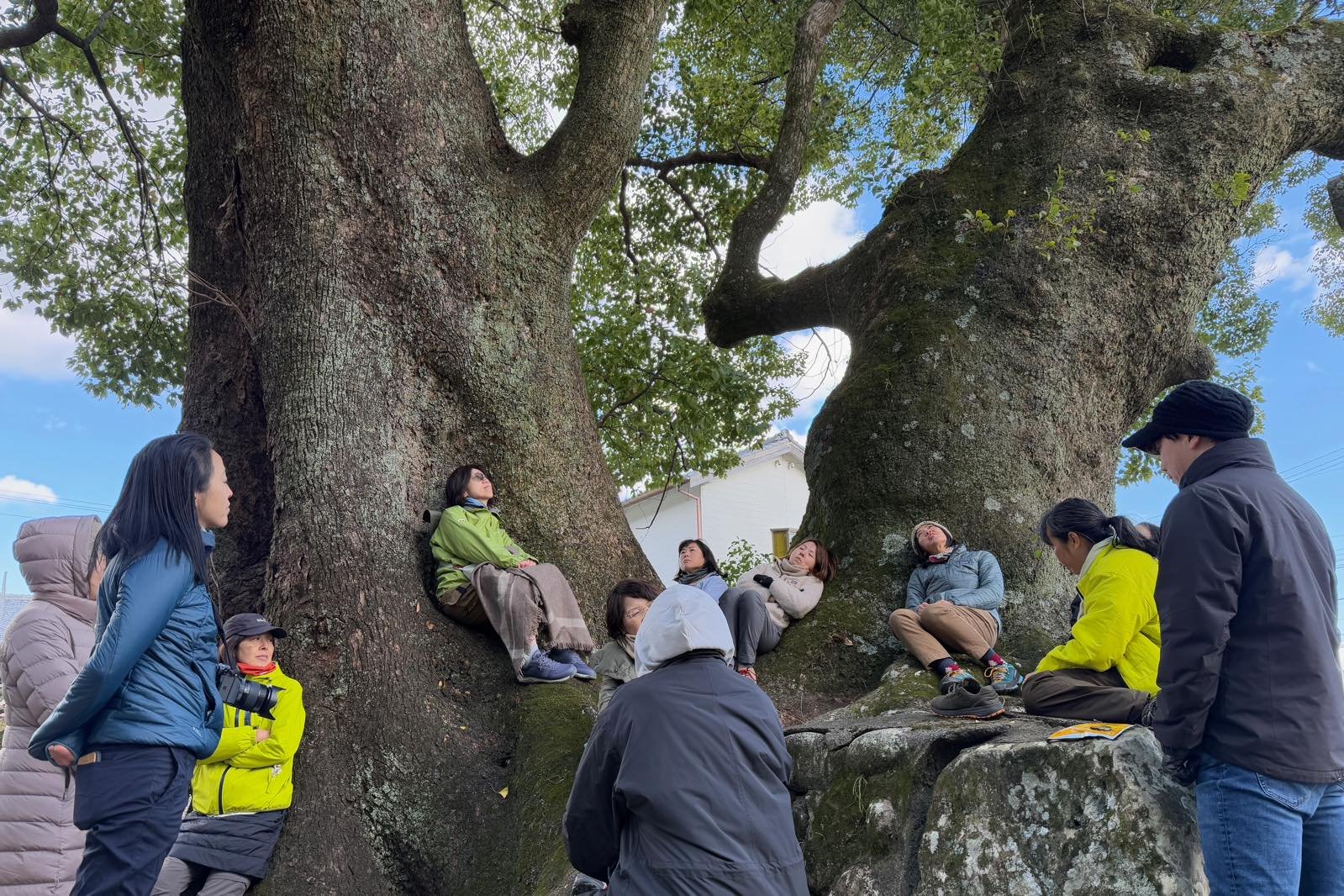 新年のご挨拶（2025年）