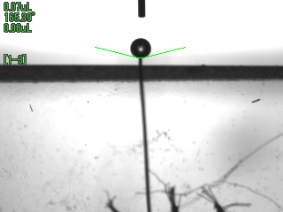 断面方向からの測定画像