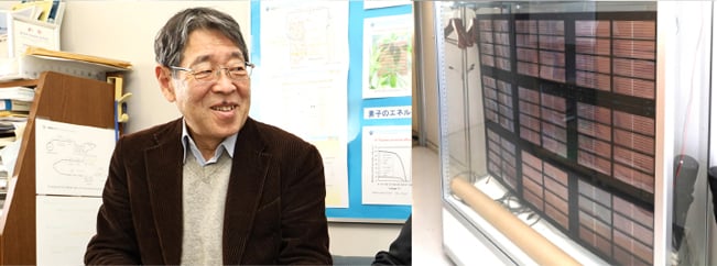 桐蔭横浜大学宮坂先生インタビュー研究室撮影