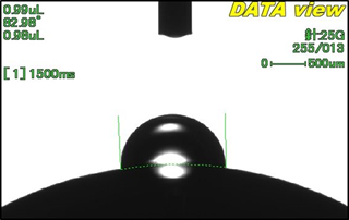 曲率補正済み解析画像