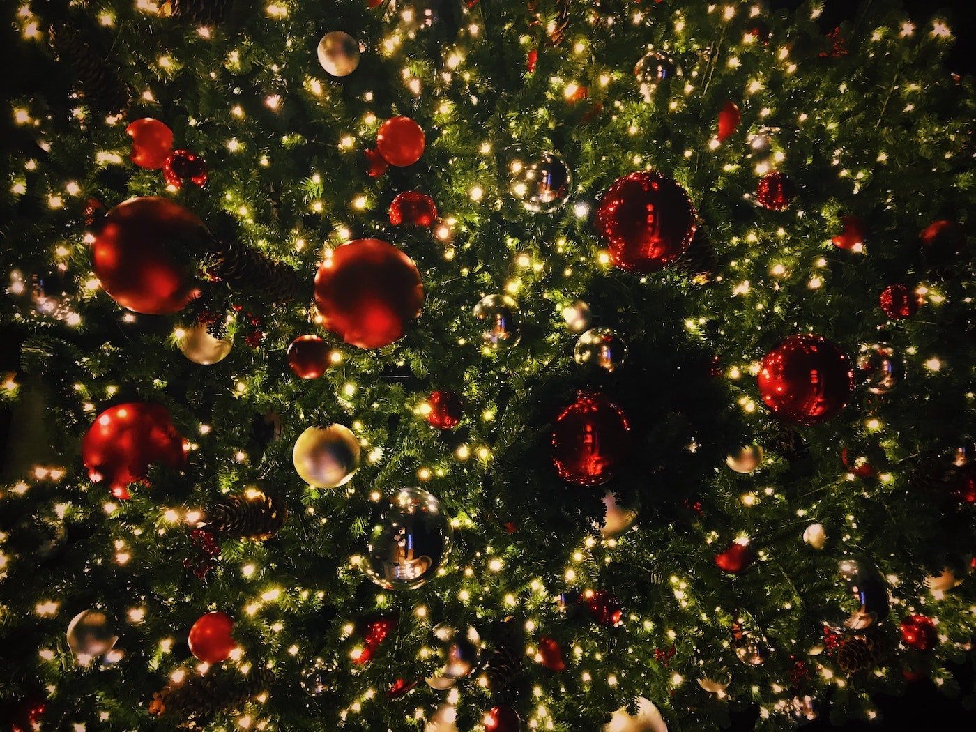 Wir haben einen Weihnachtswald gecoacht