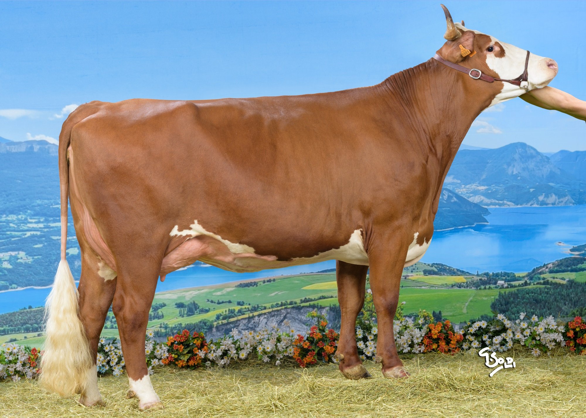 Nouvel ISU : Davantage de poids donnés aux fonctionnels et au TB