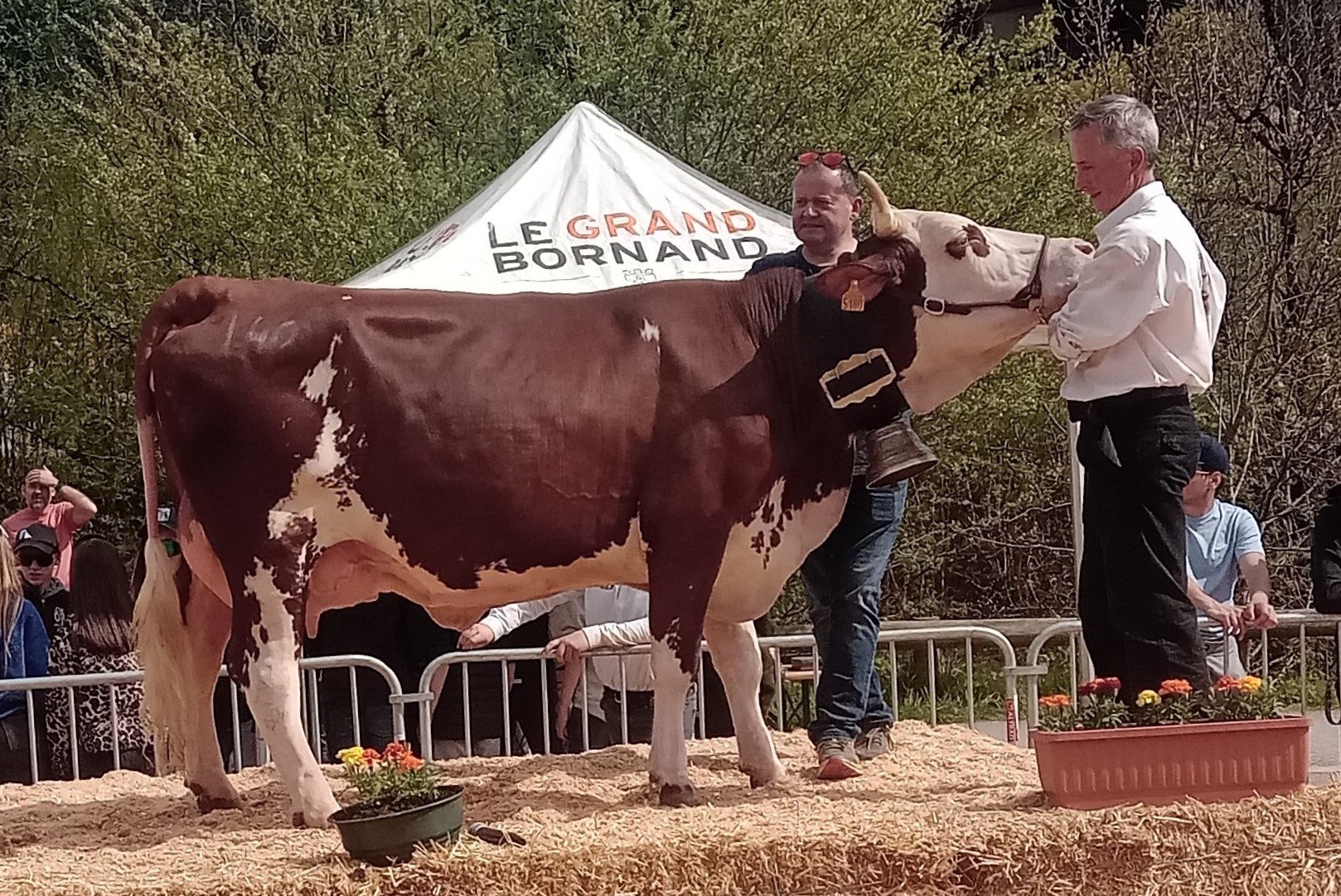 2025 - Cantonal des Aravis - Catégorie 2