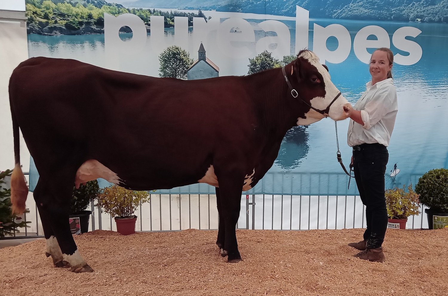 2025- Sommet de l'Elevage Hautes-Alpes