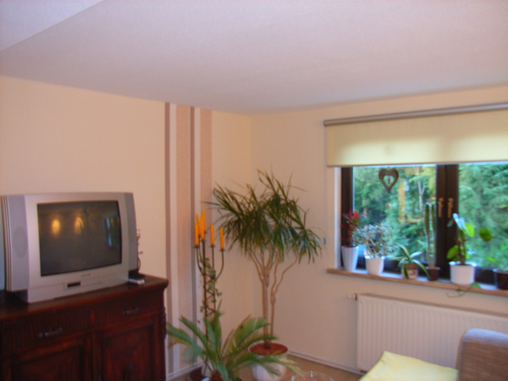 Farbvariation mit Mustertapete 02