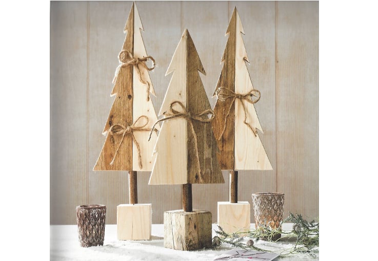 Holz-Tannen Beispiels-Bild Buch Topp-Verlag