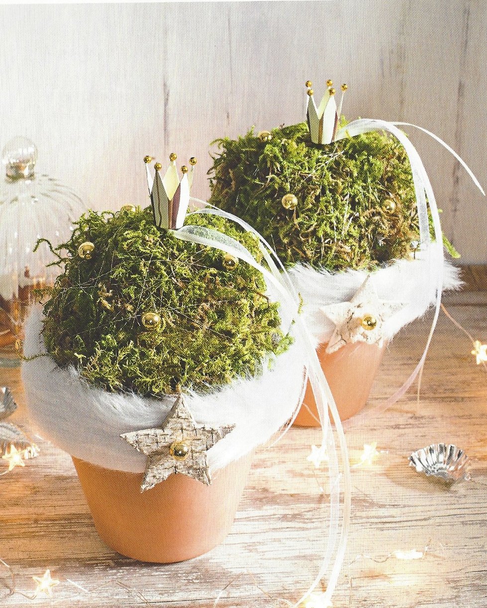 Moos-Kugel Beispiels-Bild Buch Topp-Verlag