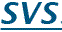 http://www.svs-online.ch/