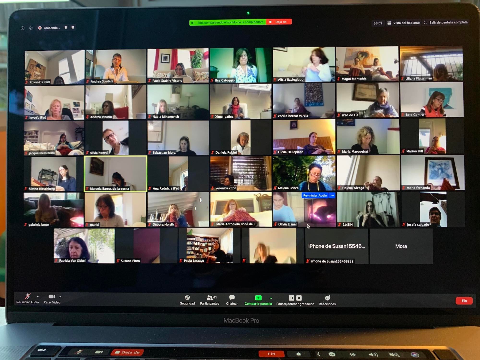 Reuniones internacionales por Zoom en época de pandemia, 2020